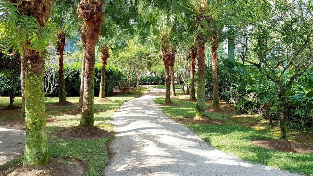 BOSQUE ILHA DA MADEIRA RESORT