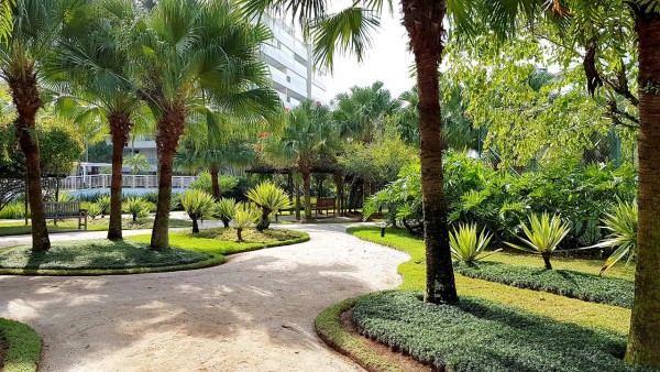 BOSQUE ILHA DA MADEIRA RESORT